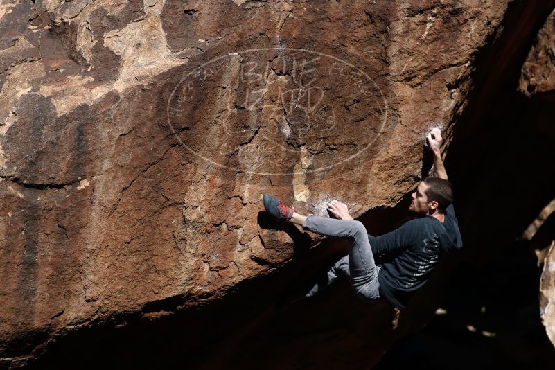 

Filename: SRM_20170313_1000230.jpg
Aperture: f/2.8
Shutter Speed: 1/3200
Body: Canon EOS-1D Mark II
Lens: Canon EF 85mm f/1.2 L II