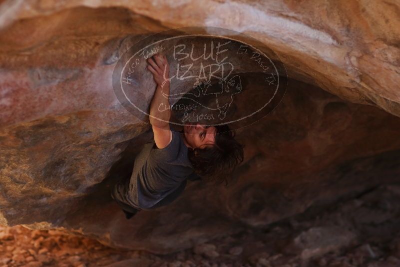 

Filename: SRM_20170313_1053580.jpg
Aperture: f/2.0
Shutter Speed: 1/400
Body: Canon EOS-1D Mark II
Lens: Canon EF 85mm f/1.2 L II