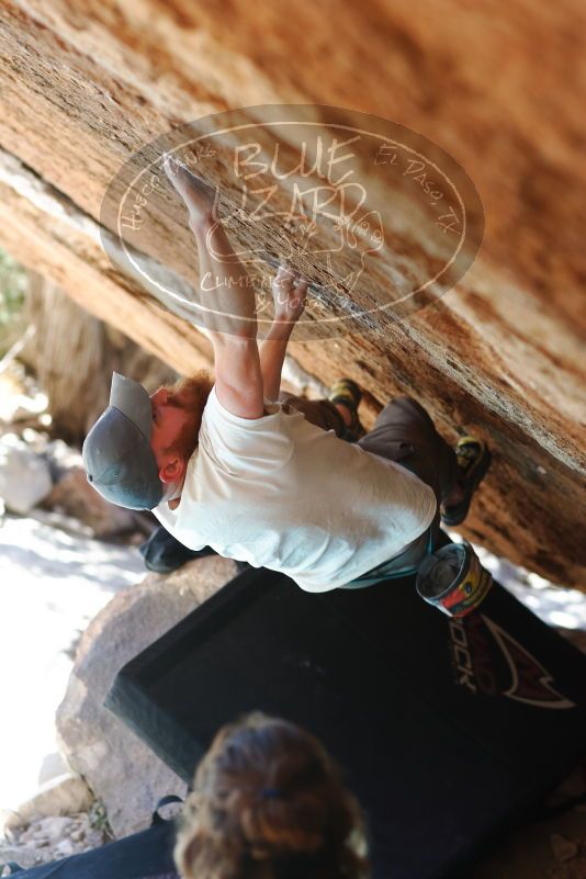 

Filename: SRM_20170313_1255523.jpg
Aperture: f/2.8
Shutter Speed: 1/500
Body: Canon EOS-1D Mark II
Lens: Canon EF 85mm f/1.2 L II