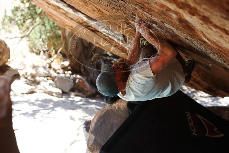 

Filename: SRM_20170313_1306161.jpg
Aperture: f/4.0
Shutter Speed: 1/500
Body: Canon EOS-1D Mark II
Lens: Canon EF 85mm f/1.2 L II