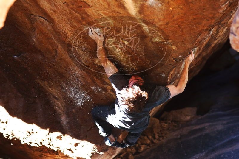 

Filename: SRM_20170313_1332451.jpg
Aperture: f/2.8
Shutter Speed: 1/320
Body: Canon EOS-1D Mark II
Lens: Canon EF 85mm f/1.2 L II