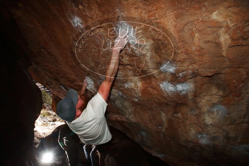 

Filename: SRM_20170313_1416450.jpg
Aperture: f/8.0
Shutter Speed: 1/250
Body: Canon EOS-1D Mark II
Lens: Canon EF 16-35mm f/2.8 L