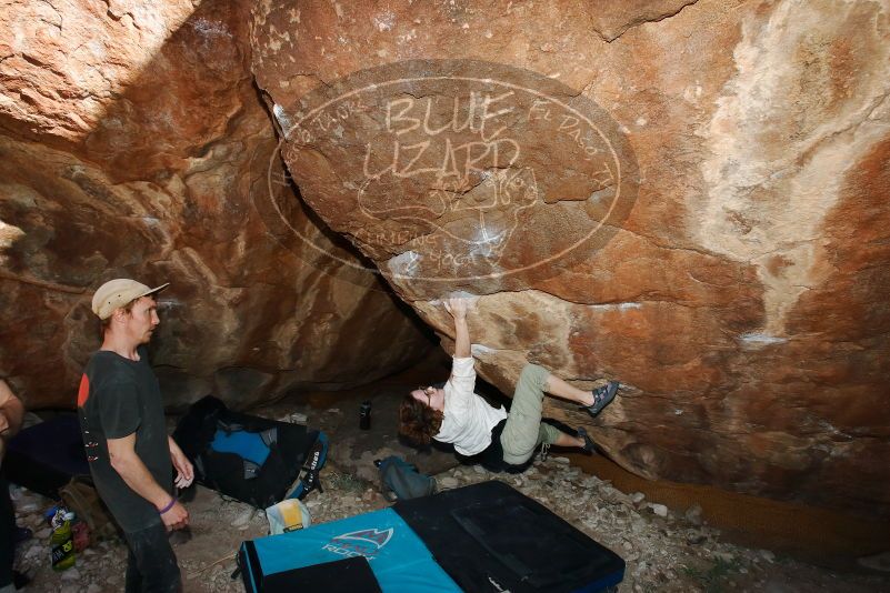 

Filename: SRM_20170313_1557560.jpg
Aperture: f/8.0
Shutter Speed: 1/250
Body: Canon EOS-1D Mark II
Lens: Canon EF 16-35mm f/2.8 L