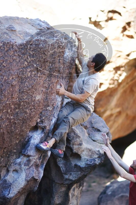 

Filename: SRM_20170314_0854031.jpg
Aperture: f/1.4
Shutter Speed: 1/1250
Body: Canon EOS-1D Mark II
Lens: Canon EF 85mm f/1.2 L II