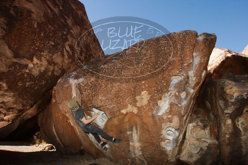 

Filename: SRM_20170314_0903410.jpg
Aperture: f/8.0
Shutter Speed: 1/250
Body: Canon EOS-1D Mark II
Lens: Canon EF 16-35mm f/2.8 L