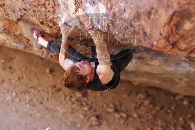 

Filename: SRM_20170314_0956012.jpg
Aperture: f/2.2
Shutter Speed: 1/400
Body: Canon EOS-1D Mark II
Lens: Canon EF 85mm f/1.2 L II