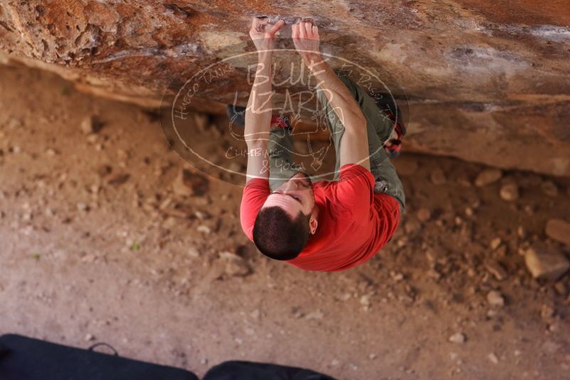 

Filename: SRM_20170314_0956310.jpg
Aperture: f/2.2
Shutter Speed: 1/400
Body: Canon EOS-1D Mark II
Lens: Canon EF 85mm f/1.2 L II