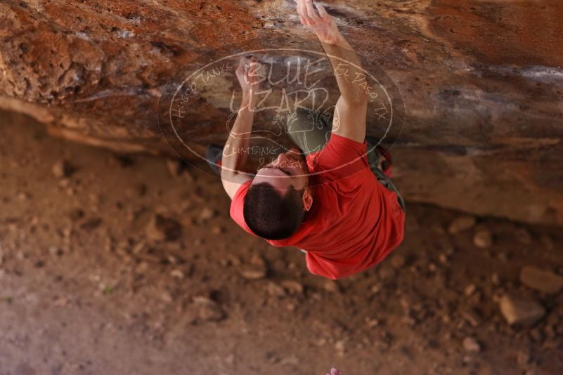 

Filename: SRM_20170314_1010150.jpg
Aperture: f/2.2
Shutter Speed: 1/400
Body: Canon EOS-1D Mark II
Lens: Canon EF 85mm f/1.2 L II