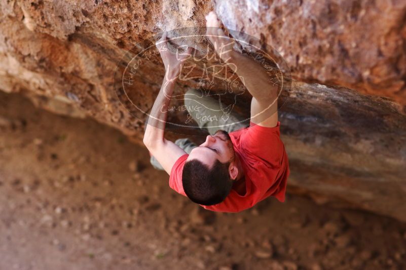 

Filename: SRM_20170314_1010280.jpg
Aperture: f/2.2
Shutter Speed: 1/400
Body: Canon EOS-1D Mark II
Lens: Canon EF 85mm f/1.2 L II