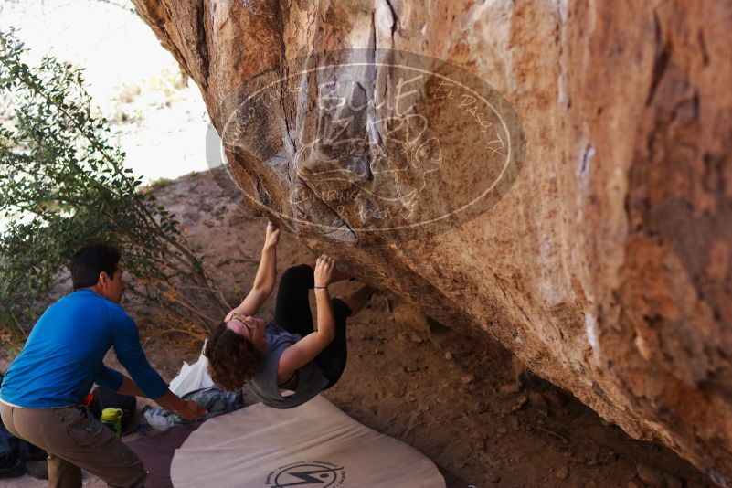 

Filename: SRM_20170314_1016400.jpg
Aperture: f/2.2
Shutter Speed: 1/400
Body: Canon EOS-1D Mark II
Lens: Canon EF 85mm f/1.2 L II