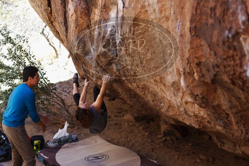 

Filename: SRM_20170314_1018280.jpg
Aperture: f/2.2
Shutter Speed: 1/400
Body: Canon EOS-1D Mark II
Lens: Canon EF 85mm f/1.2 L II