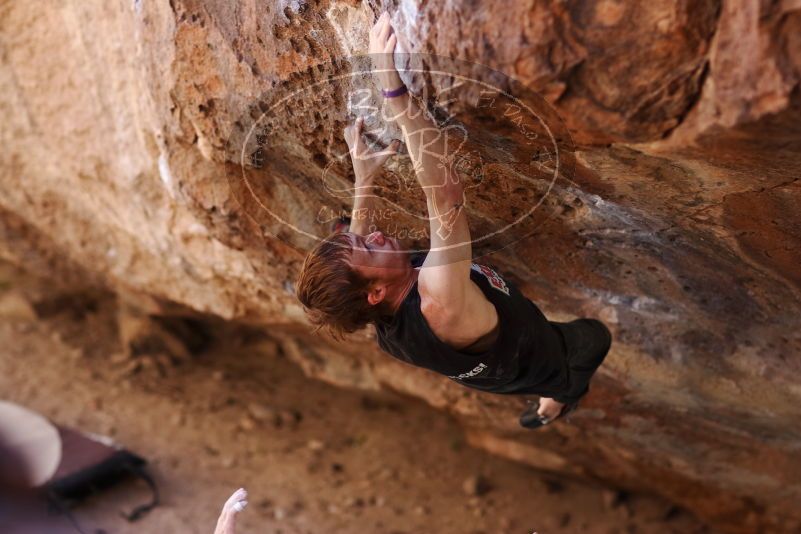 

Filename: SRM_20170314_1019251.jpg
Aperture: f/2.2
Shutter Speed: 1/400
Body: Canon EOS-1D Mark II
Lens: Canon EF 85mm f/1.2 L II