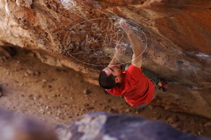 

Filename: SRM_20170314_1021410.jpg
Aperture: f/2.2
Shutter Speed: 1/400
Body: Canon EOS-1D Mark II
Lens: Canon EF 85mm f/1.2 L II