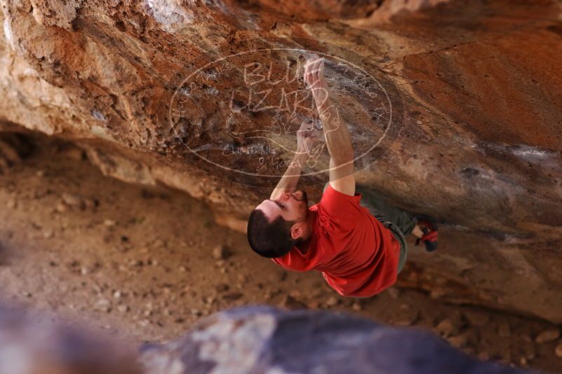 

Filename: SRM_20170314_1021411.jpg
Aperture: f/2.2
Shutter Speed: 1/400
Body: Canon EOS-1D Mark II
Lens: Canon EF 85mm f/1.2 L II