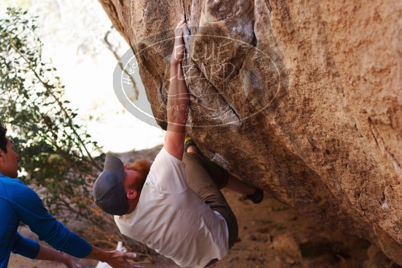 

Filename: SRM_20170314_1026430.jpg
Aperture: f/2.8
Shutter Speed: 1/400
Body: Canon EOS-1D Mark II
Lens: Canon EF 85mm f/1.2 L II