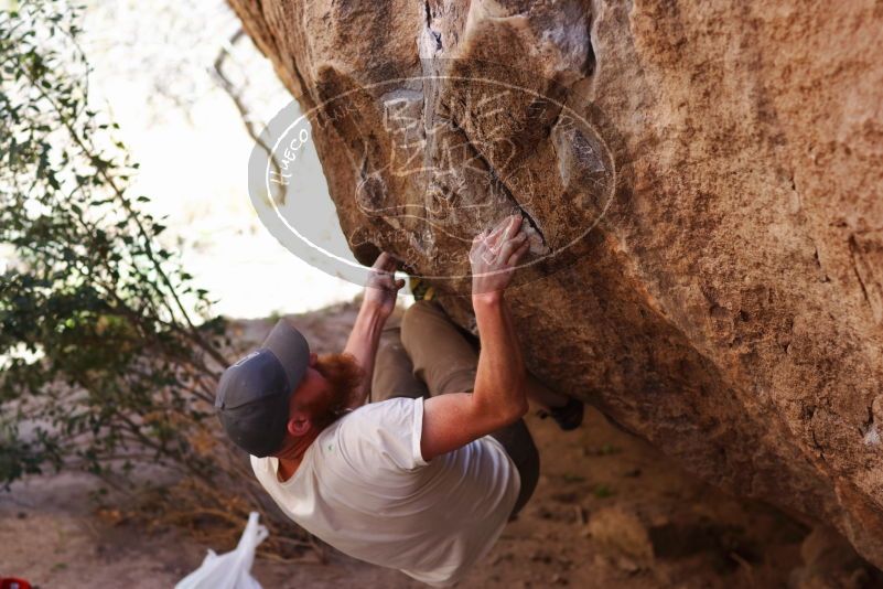 

Filename: SRM_20170314_1030040.jpg
Aperture: f/2.8
Shutter Speed: 1/400
Body: Canon EOS-1D Mark II
Lens: Canon EF 85mm f/1.2 L II