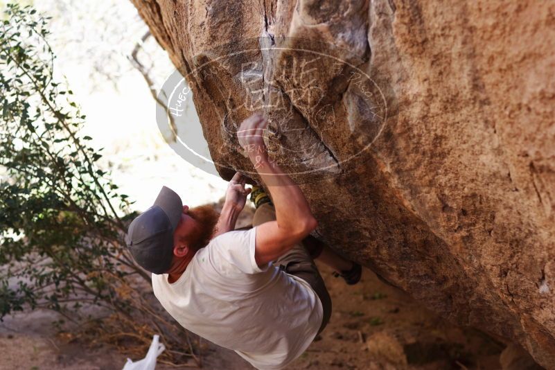 

Filename: SRM_20170314_1030041.jpg
Aperture: f/2.8
Shutter Speed: 1/400
Body: Canon EOS-1D Mark II
Lens: Canon EF 85mm f/1.2 L II