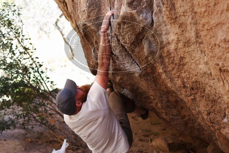 

Filename: SRM_20170314_1030042.jpg
Aperture: f/2.8
Shutter Speed: 1/400
Body: Canon EOS-1D Mark II
Lens: Canon EF 85mm f/1.2 L II