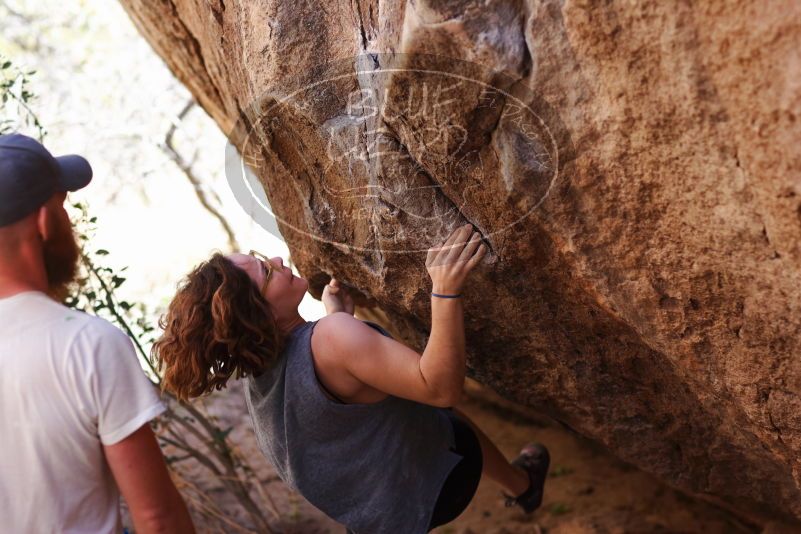 

Filename: SRM_20170314_1031591.jpg
Aperture: f/2.8
Shutter Speed: 1/400
Body: Canon EOS-1D Mark II
Lens: Canon EF 85mm f/1.2 L II