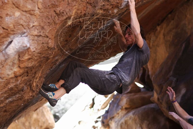 

Filename: SRM_20170314_1034330.jpg
Aperture: f/2.8
Shutter Speed: 1/400
Body: Canon EOS-1D Mark II
Lens: Canon EF 85mm f/1.2 L II