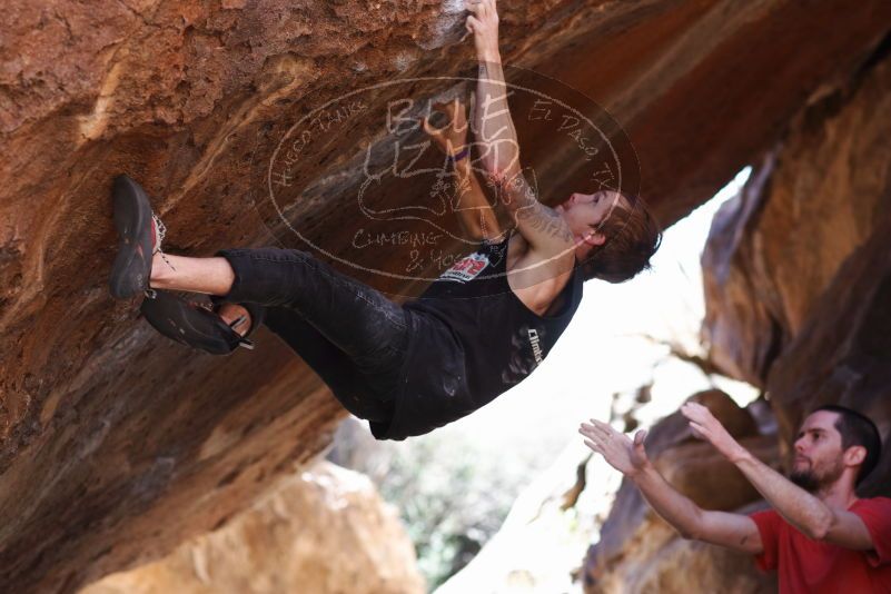 

Filename: SRM_20170314_1039400.jpg
Aperture: f/2.8
Shutter Speed: 1/400
Body: Canon EOS-1D Mark II
Lens: Canon EF 85mm f/1.2 L II