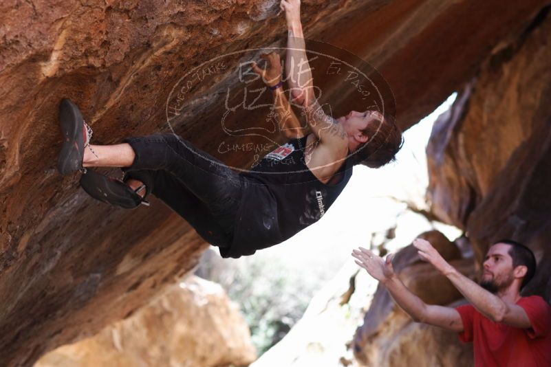 

Filename: SRM_20170314_1039401.jpg
Aperture: f/2.8
Shutter Speed: 1/400
Body: Canon EOS-1D Mark II
Lens: Canon EF 85mm f/1.2 L II