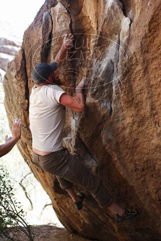 

Filename: SRM_20170314_1051191.jpg
Aperture: f/2.8
Shutter Speed: 1/400
Body: Canon EOS-1D Mark II
Lens: Canon EF 50mm f/1.8 II