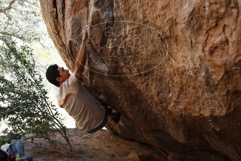 

Filename: SRM_20170314_1054430.jpg
Aperture: f/2.8
Shutter Speed: 1/400
Body: Canon EOS-1D Mark II
Lens: Canon EF 50mm f/1.8 II