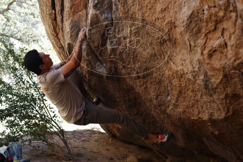 

Filename: SRM_20170314_1054461.jpg
Aperture: f/2.8
Shutter Speed: 1/400
Body: Canon EOS-1D Mark II
Lens: Canon EF 50mm f/1.8 II