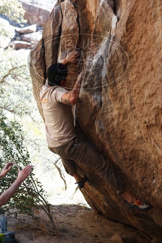 

Filename: SRM_20170314_1054531.jpg
Aperture: f/2.8
Shutter Speed: 1/400
Body: Canon EOS-1D Mark II
Lens: Canon EF 50mm f/1.8 II