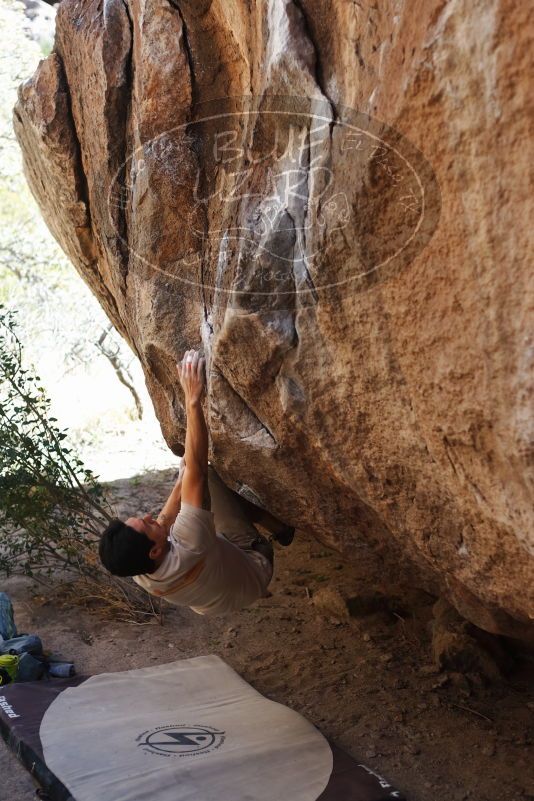 

Filename: SRM_20170314_1101401.jpg
Aperture: f/2.8
Shutter Speed: 1/400
Body: Canon EOS-1D Mark II
Lens: Canon EF 50mm f/1.8 II