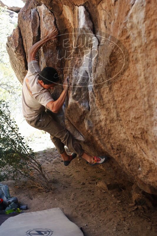 

Filename: SRM_20170314_1101560.jpg
Aperture: f/2.8
Shutter Speed: 1/400
Body: Canon EOS-1D Mark II
Lens: Canon EF 50mm f/1.8 II