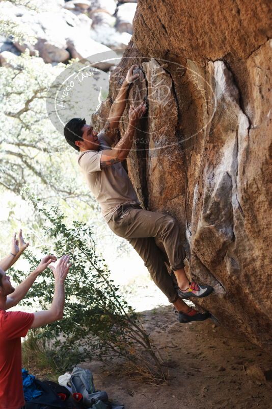 

Filename: SRM_20170314_1102031.jpg
Aperture: f/2.8
Shutter Speed: 1/400
Body: Canon EOS-1D Mark II
Lens: Canon EF 50mm f/1.8 II