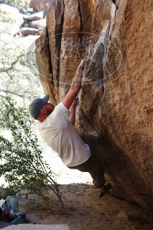 

Filename: SRM_20170314_1104450.jpg
Aperture: f/2.8
Shutter Speed: 1/400
Body: Canon EOS-1D Mark II
Lens: Canon EF 50mm f/1.8 II