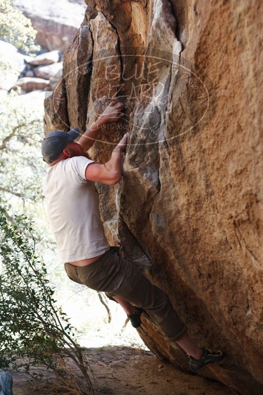 

Filename: SRM_20170314_1104481.jpg
Aperture: f/2.8
Shutter Speed: 1/400
Body: Canon EOS-1D Mark II
Lens: Canon EF 50mm f/1.8 II