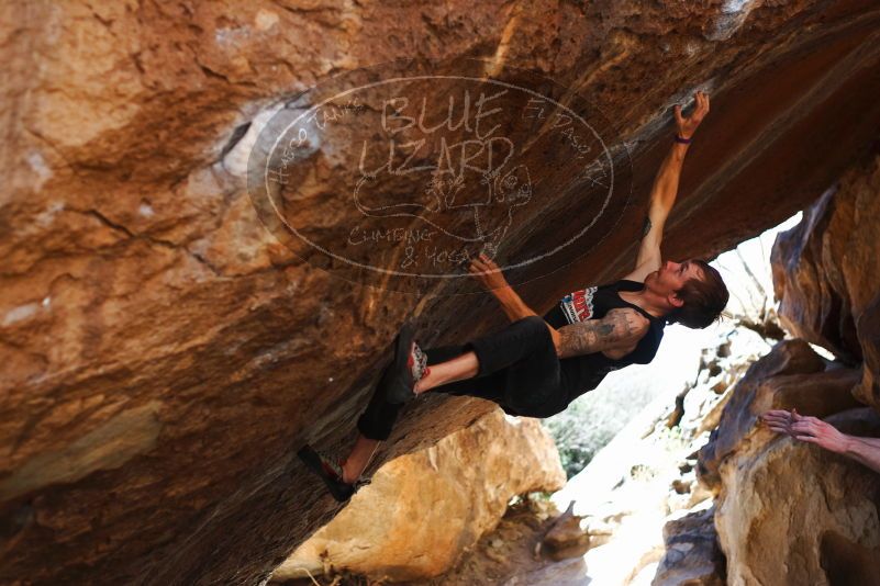 

Filename: SRM_20170314_1105591.jpg
Aperture: f/2.8
Shutter Speed: 1/400
Body: Canon EOS-1D Mark II
Lens: Canon EF 50mm f/1.8 II