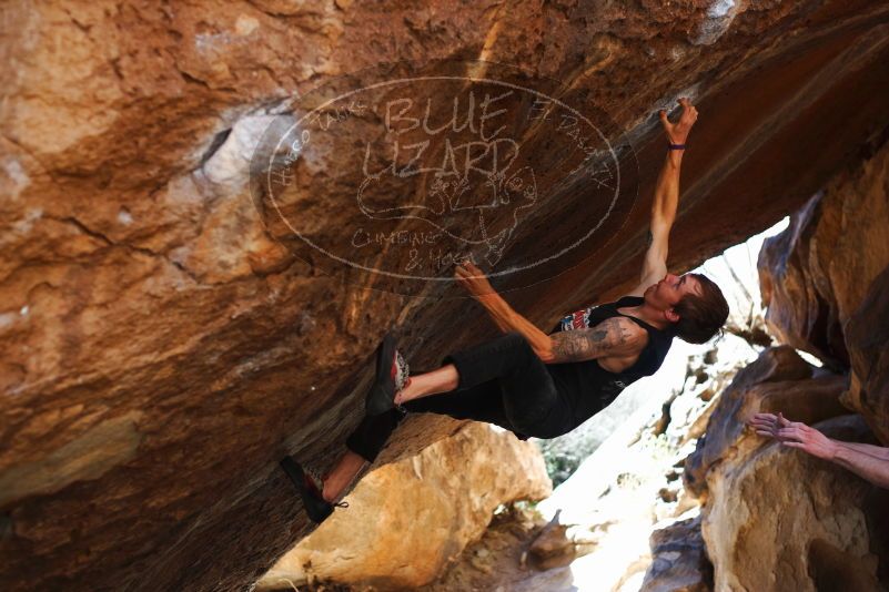 

Filename: SRM_20170314_1105592.jpg
Aperture: f/2.8
Shutter Speed: 1/400
Body: Canon EOS-1D Mark II
Lens: Canon EF 50mm f/1.8 II