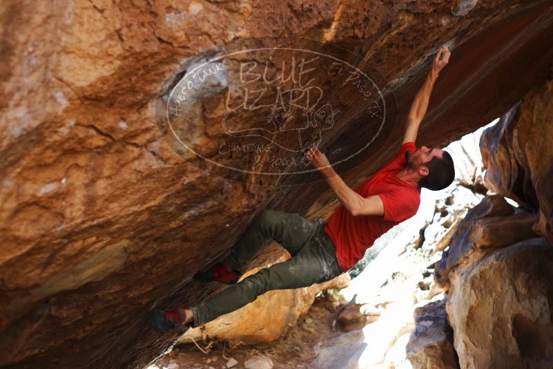 

Filename: SRM_20170314_1108551.jpg
Aperture: f/2.8
Shutter Speed: 1/400
Body: Canon EOS-1D Mark II
Lens: Canon EF 50mm f/1.8 II