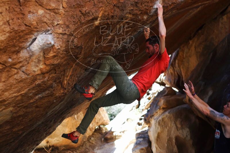 

Filename: SRM_20170314_1109000.jpg
Aperture: f/2.8
Shutter Speed: 1/400
Body: Canon EOS-1D Mark II
Lens: Canon EF 50mm f/1.8 II