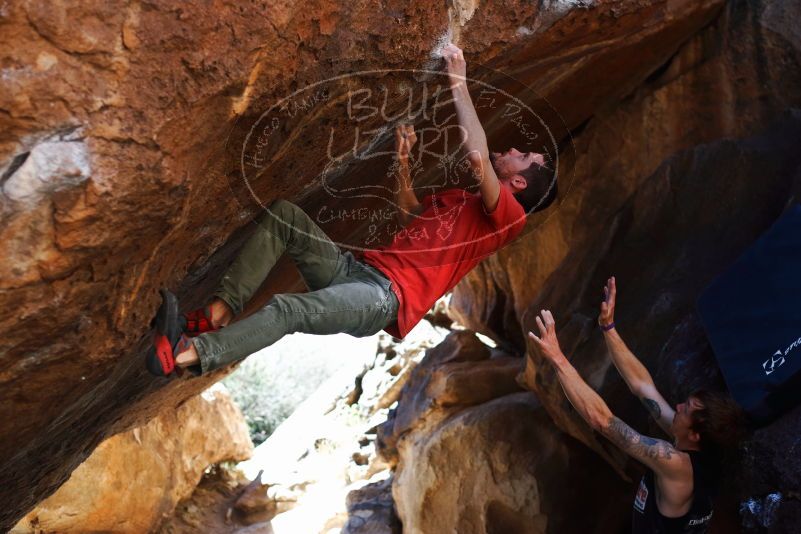 

Filename: SRM_20170314_1109040.jpg
Aperture: f/2.8
Shutter Speed: 1/400
Body: Canon EOS-1D Mark II
Lens: Canon EF 50mm f/1.8 II