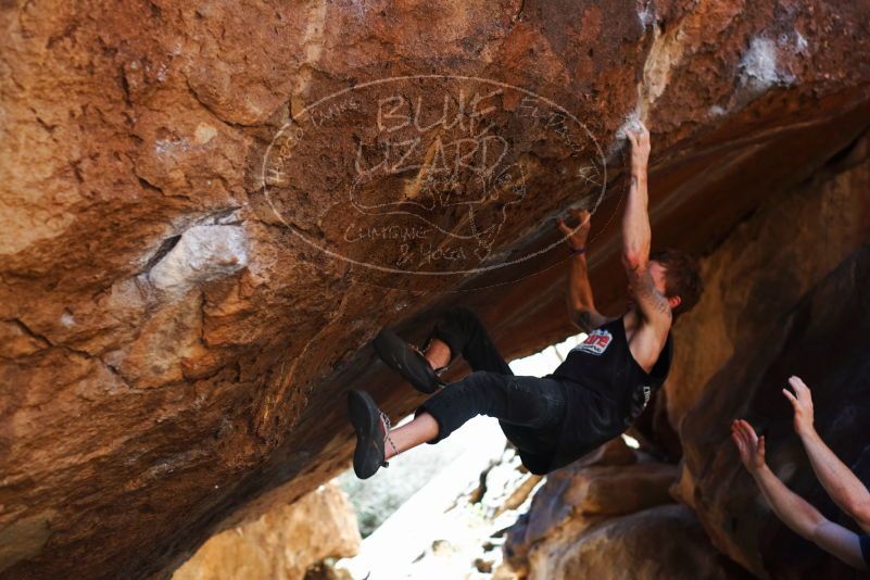 

Filename: SRM_20170314_1123110.jpg
Aperture: f/2.8
Shutter Speed: 1/400
Body: Canon EOS-1D Mark II
Lens: Canon EF 50mm f/1.8 II