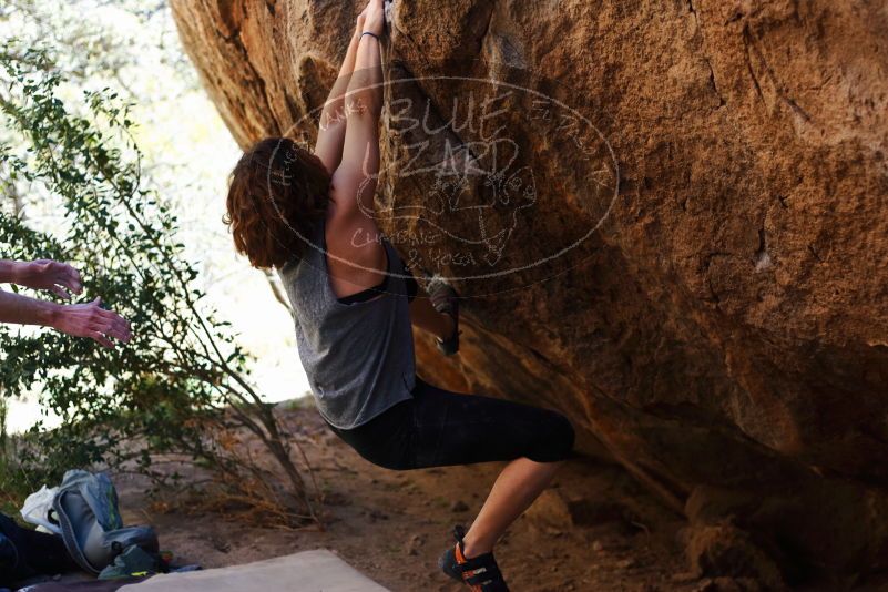 

Filename: SRM_20170314_1129040.jpg
Aperture: f/2.8
Shutter Speed: 1/400
Body: Canon EOS-1D Mark II
Lens: Canon EF 50mm f/1.8 II