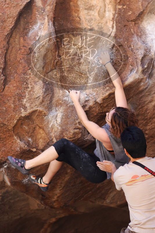 

Filename: SRM_20170314_1134331.jpg
Aperture: f/2.8
Shutter Speed: 1/400
Body: Canon EOS-1D Mark II
Lens: Canon EF 85mm f/1.2 L II