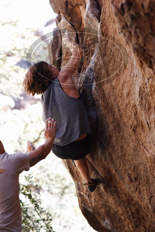 

Filename: SRM_20170314_1154540.jpg
Aperture: f/2.8
Shutter Speed: 1/400
Body: Canon EOS-1D Mark II
Lens: Canon EF 85mm f/1.2 L II