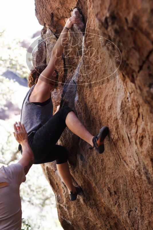 

Filename: SRM_20170314_1154590.jpg
Aperture: f/2.8
Shutter Speed: 1/400
Body: Canon EOS-1D Mark II
Lens: Canon EF 85mm f/1.2 L II