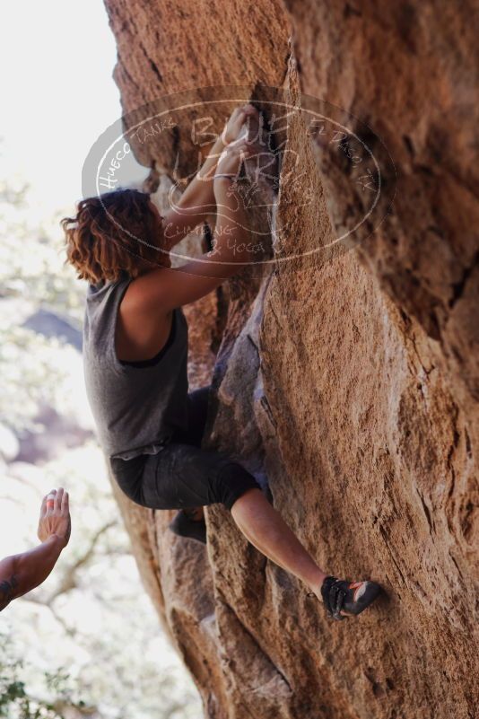 

Filename: SRM_20170314_1155130.jpg
Aperture: f/2.8
Shutter Speed: 1/400
Body: Canon EOS-1D Mark II
Lens: Canon EF 85mm f/1.2 L II