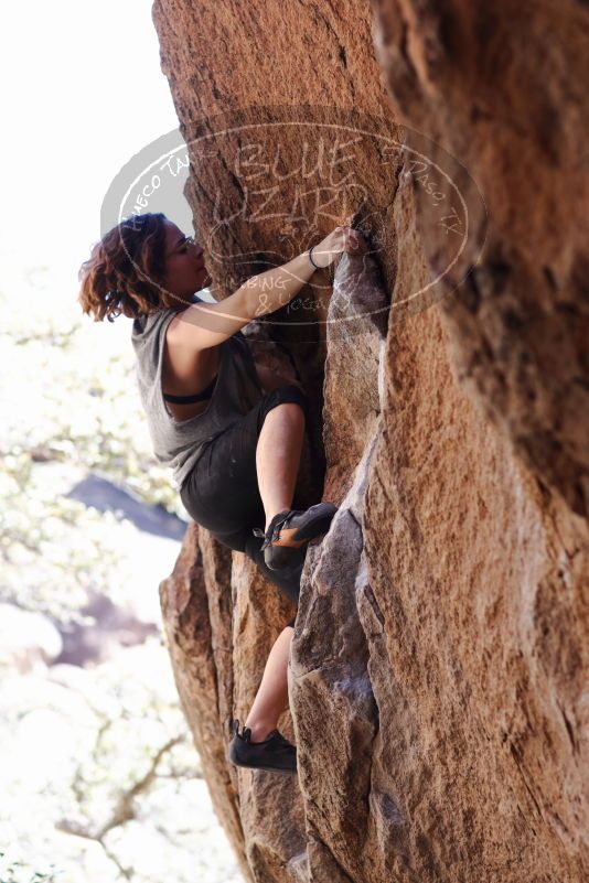 

Filename: SRM_20170314_1155212.jpg
Aperture: f/2.8
Shutter Speed: 1/400
Body: Canon EOS-1D Mark II
Lens: Canon EF 85mm f/1.2 L II