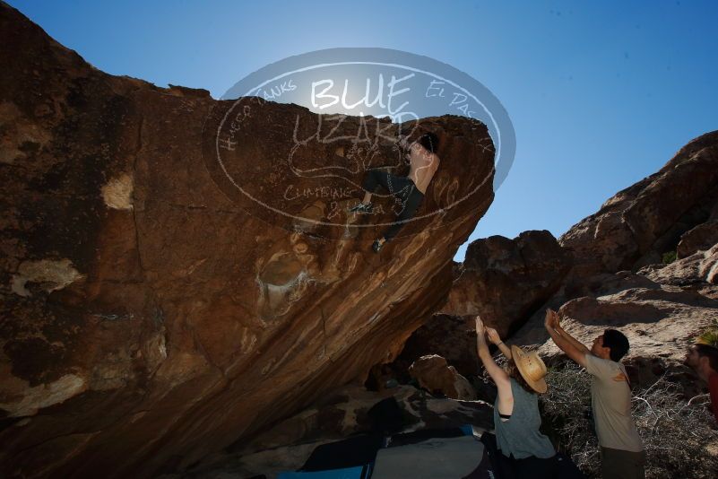 

Filename: SRM_20170314_1436230.jpg
Aperture: f/9.0
Shutter Speed: 1/250
Body: Canon EOS-1D Mark II
Lens: Canon EF 16-35mm f/2.8 L