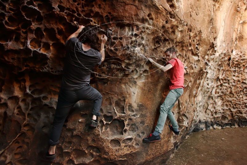 

Filename: SRM_20170314_1520220.jpg
Aperture: f/2.8
Shutter Speed: 1/125
Body: Canon EOS-1D Mark II
Lens: Canon EF 16-35mm f/2.8 L