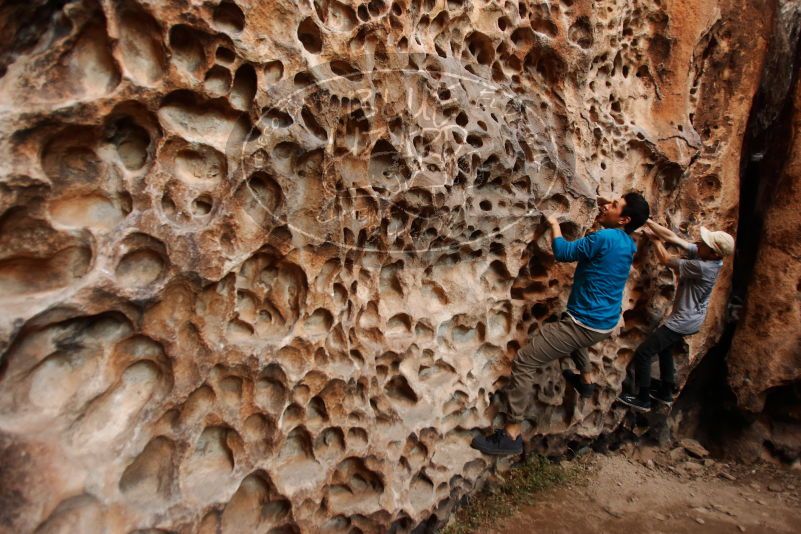 

Filename: SRM_20170314_1521220.jpg
Aperture: f/2.8
Shutter Speed: 1/100
Body: Canon EOS-1D Mark II
Lens: Canon EF 16-35mm f/2.8 L